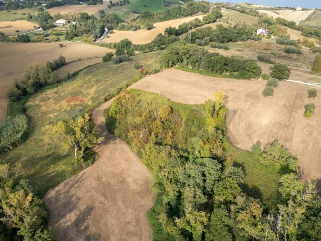 Terreno in vendita a Terre Roveresche, Marche