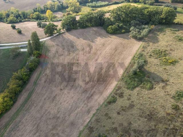 Terreno in vendita a Terre Roveresche, Marche