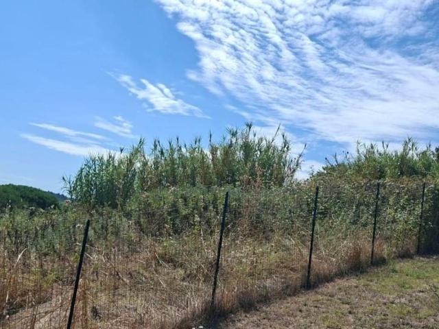 Terreno in vendita a Terricciola, Toscana