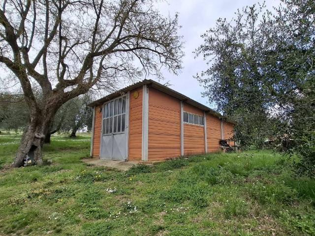 Terreno in vendita a Terricciola, Toscana