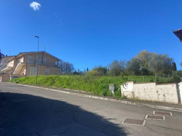 Terreno in vendita a Terricciola, Toscana
