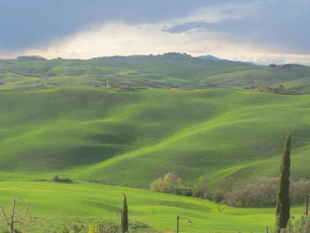 Terreno in vendita a La Rosa, Terricciola