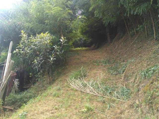 Terreno in vendita a Terricciola, Toscana
