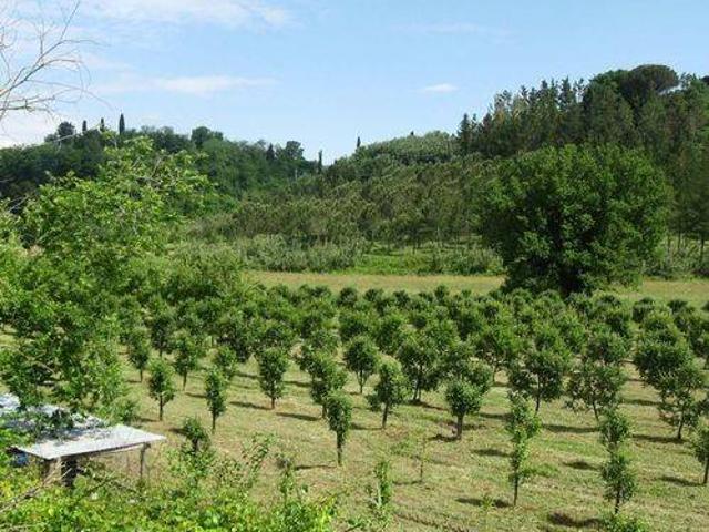 Terreno in vendita a Terricciola, Toscana