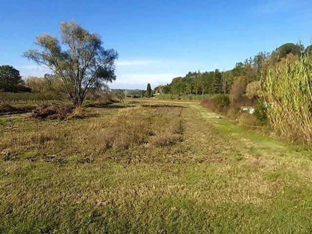 Terreno in vendita a Terricciola, Toscana