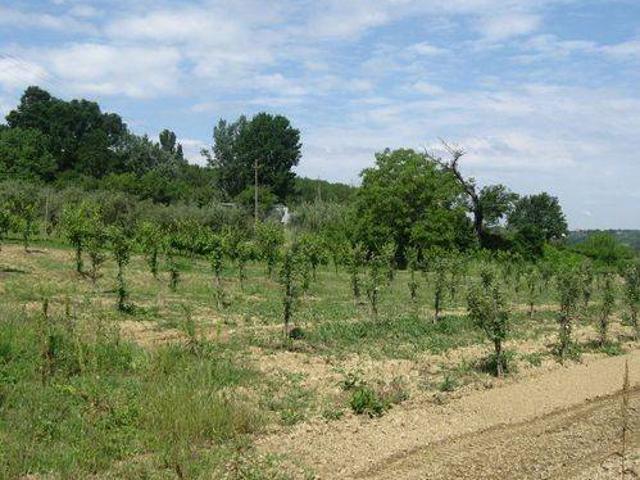 Terreno in vendita a Terricciola, Toscana