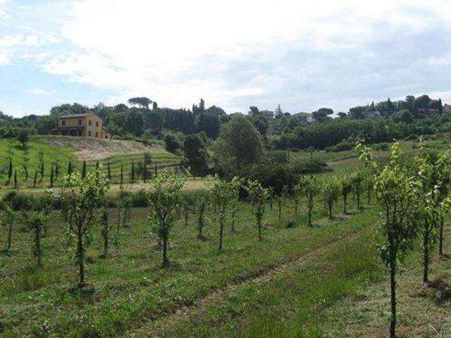 Terreno in vendita a Terricciola, Toscana
