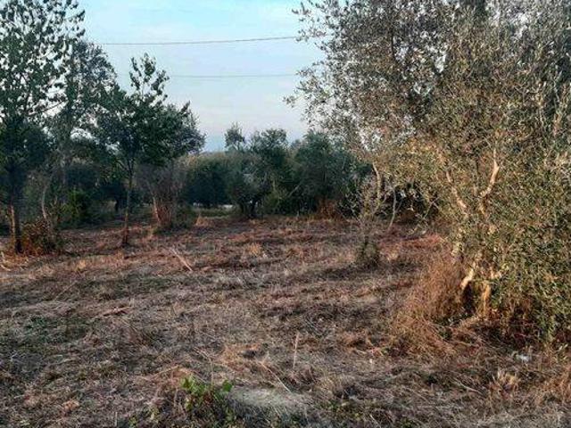 Terreno in vendita a Terricciola, Toscana