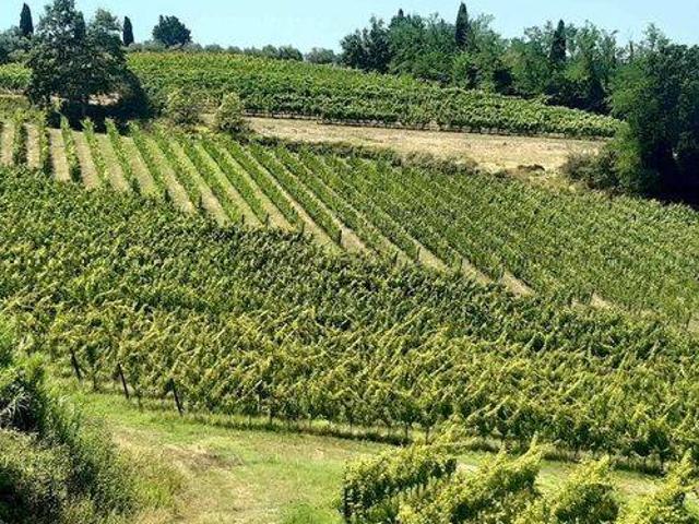 Terreno in vendita a Terricciola, Toscana