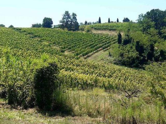 Terreno in vendita a Terricciola, Toscana