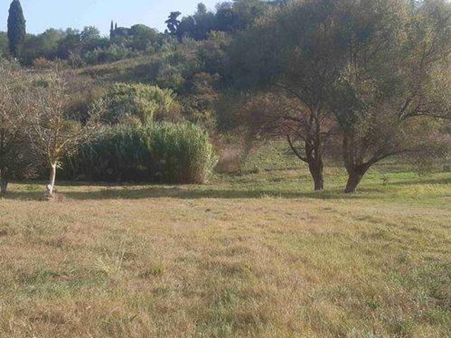 Terreno in vendita a Terricciola, Toscana