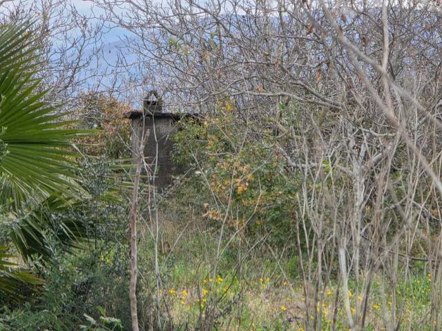 Terreno in vendita a Terzigno, Campania