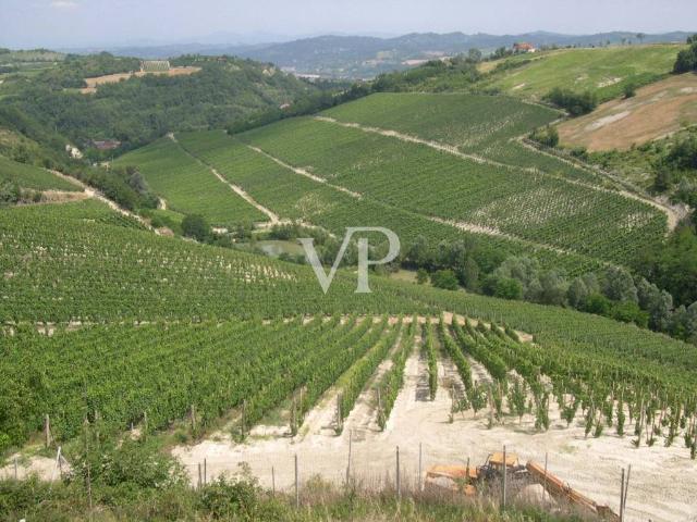 Terreno in vendita a Piemonte, Asti