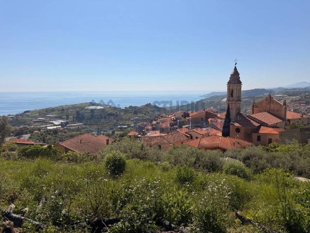 Terreno in vendita a Terzorio, Liguria