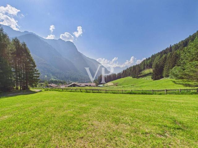 Terreno in vendita a Comunità territoriale della Val di Fiemme, Tesero