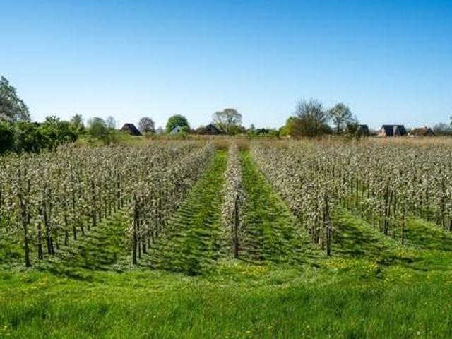 Terreno in vendita a Burggrafenamt - Burgraviato, Tesimo - Tisens