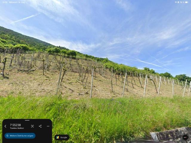 Terreno in vendita a Burggrafenamt - Burgraviato, Tesimo - Tisens