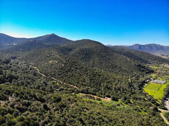 Terreno in vendita a Teulada, Sardigna/Sardegna