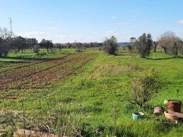 Terreno in vendita a Puglia, Lecce