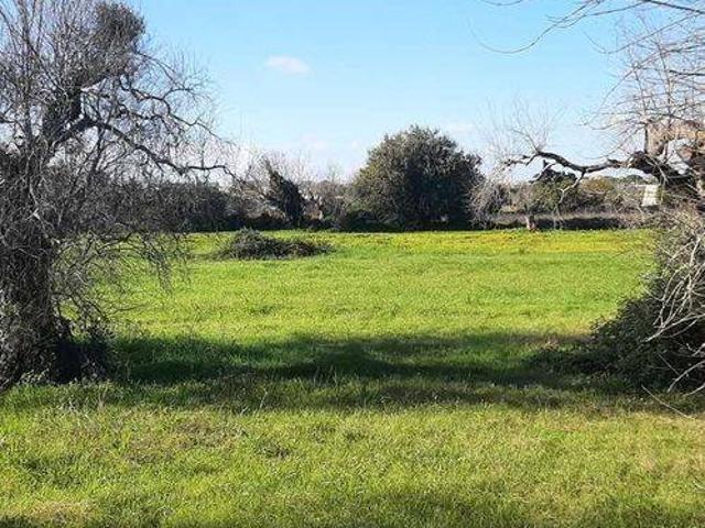 Terreno in vendita a Puglia, Lecce