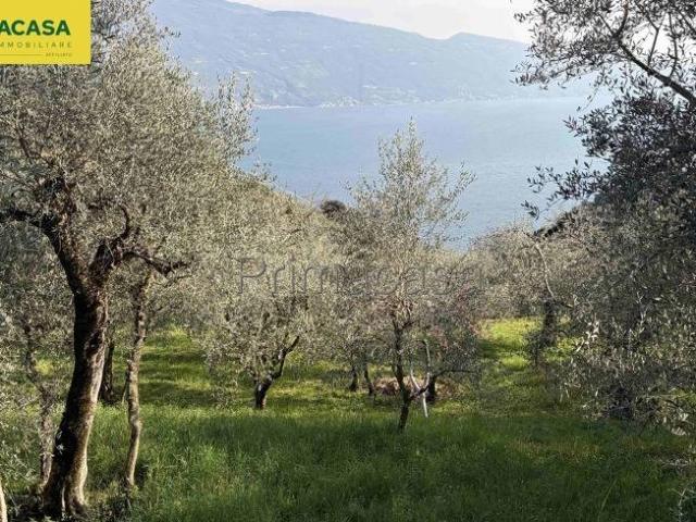 Terreno in vendita a Comunità Montana Parco Alto Garda bresciano, Tignale