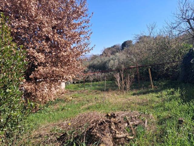 Terreno in vendita a Roma Capitale, Lazio