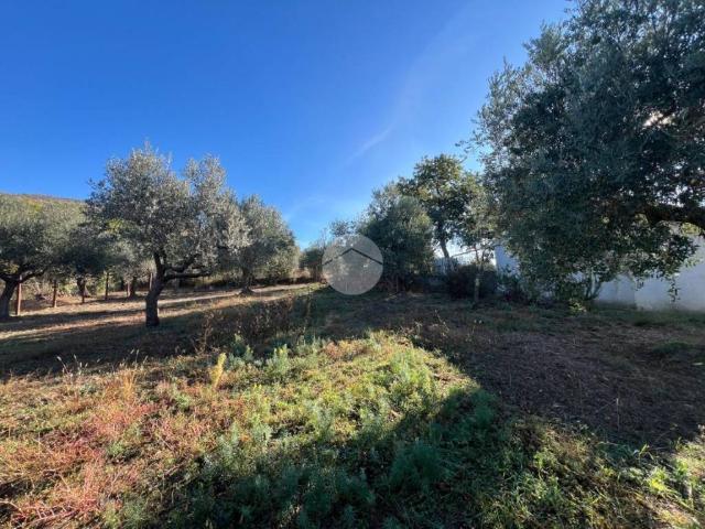 Terreno in vendita a Paterno, Roma Capitale