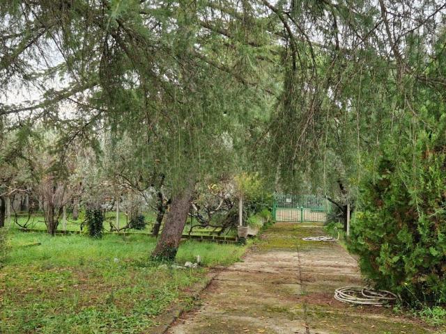 Terreno in vendita a Villa Adriana, Roma Capitale