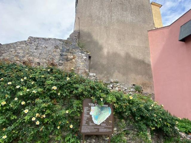 Terreno in vendita a Roma Capitale, Lazio