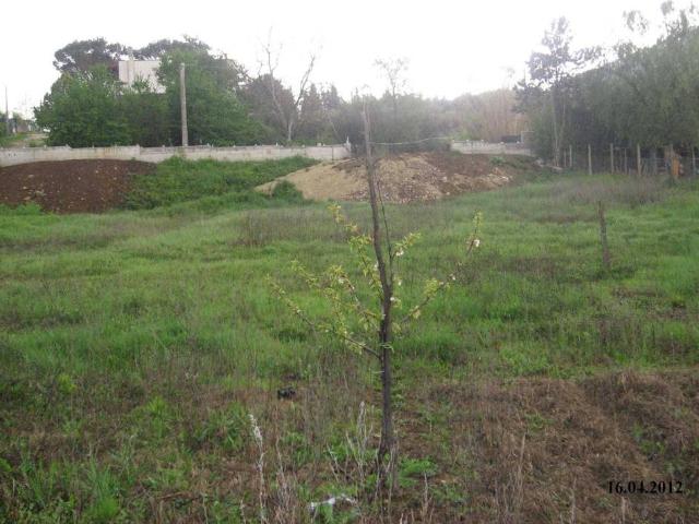 Terreno in vendita a Roma Capitale, Lazio