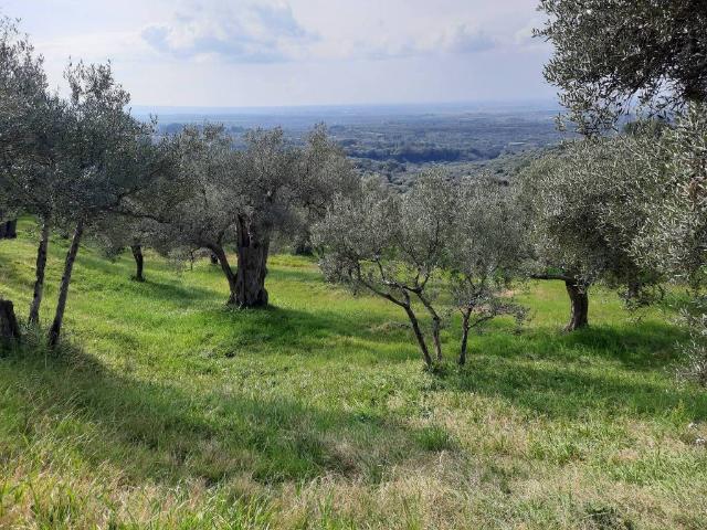 Terreno in vendita a Paterno, Roma Capitale