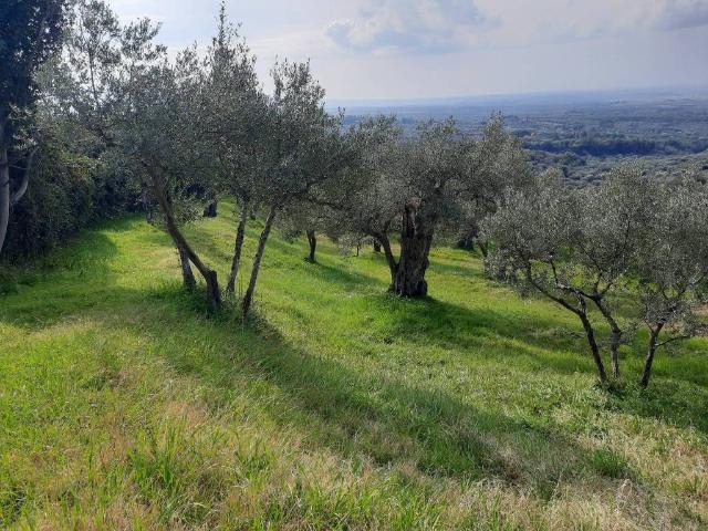 Terreno in vendita a Paterno, Roma Capitale