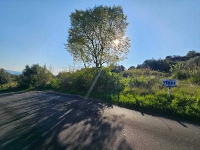 Terreno in vendita a Campolimpido, Roma Capitale