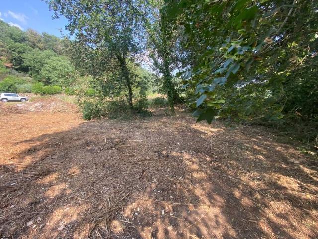 Terreno in vendita a Paterno, Roma Capitale