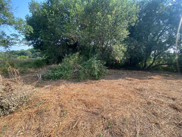 Terreno in vendita a Paterno, Roma Capitale