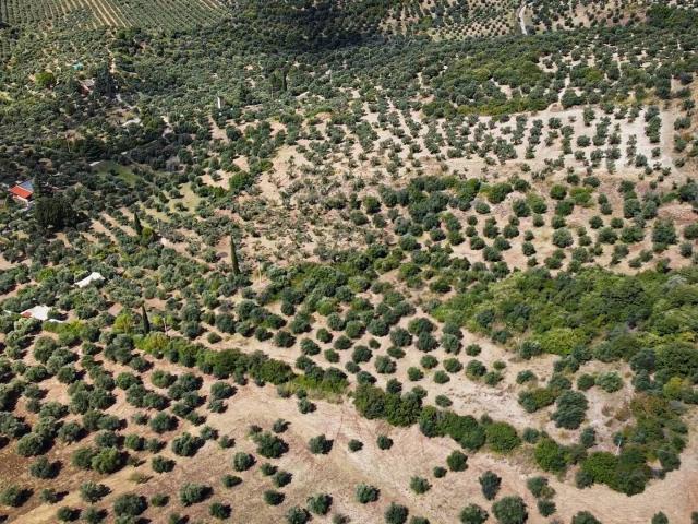 Terreno in vendita a Paterno, Roma Capitale