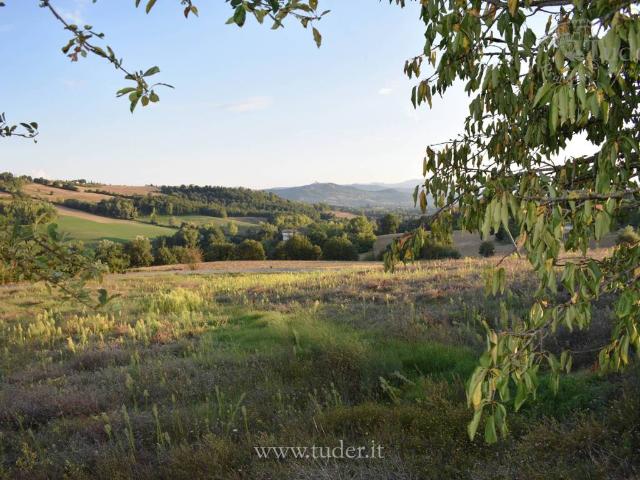 Terreno in vendita a Cacciano, Izzalini