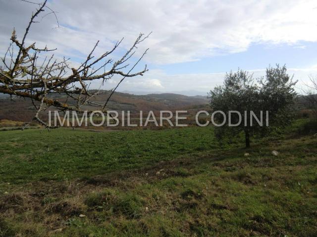 Terreno in vendita a Izzalini, Umbria