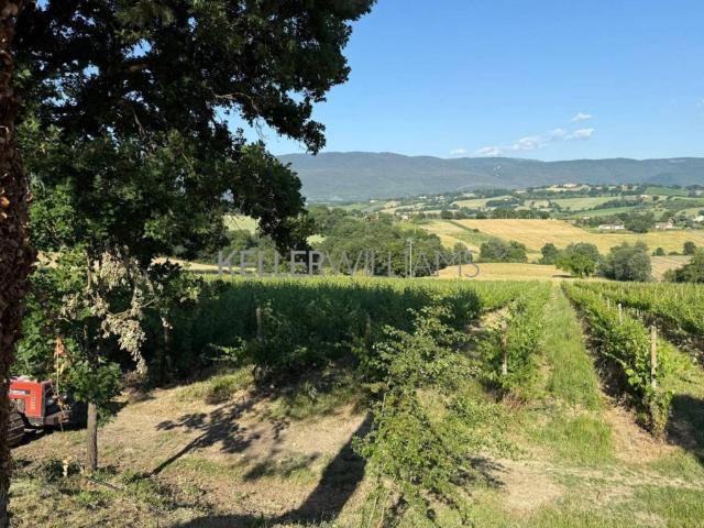 Terreno in vendita a Izzalini, Umbria