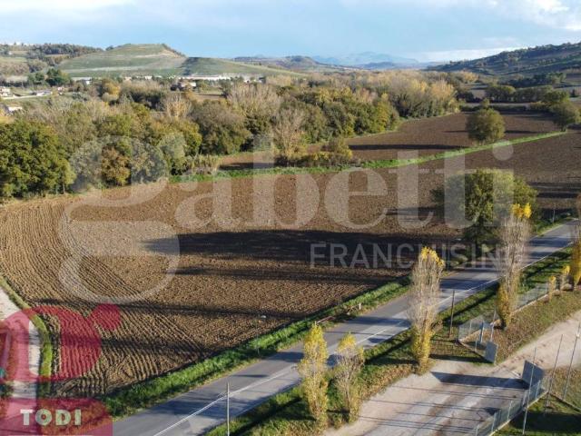 Terreno in vendita a Izzalini, Umbria