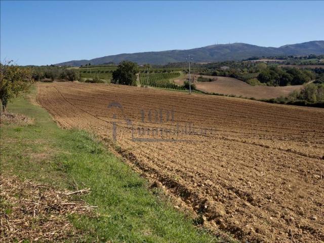 Terreno in vendita a Due Santi, Todi