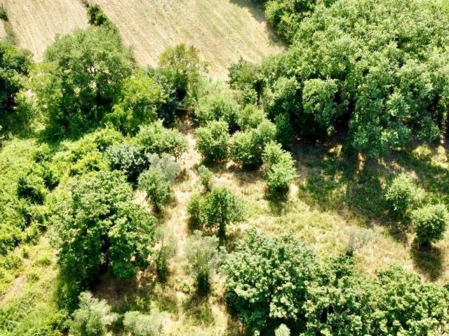 Terreno in vendita a Izzalini, Umbria