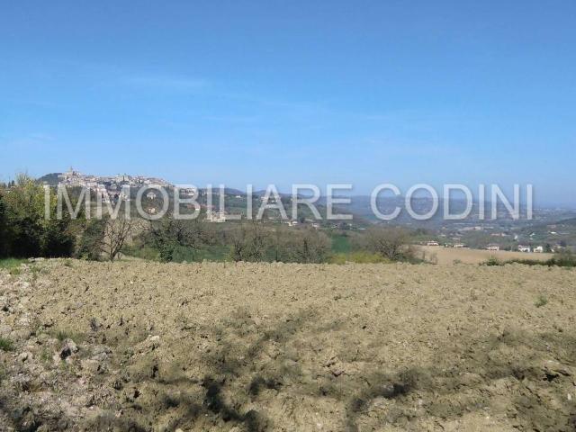 Terreno in vendita a Izzalini, Umbria