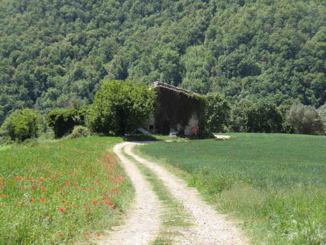Terreno in vendita a Ponterio-Pian di Porto, Izzalini