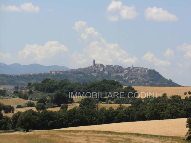 Terreno in vendita a Izzalini, Umbria