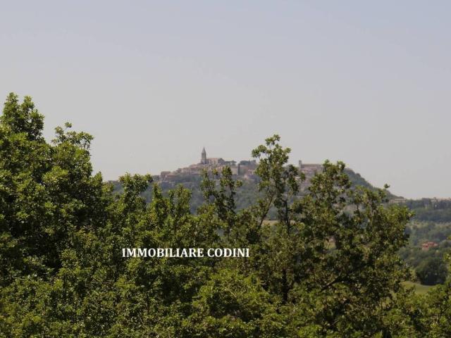 Terreno in vendita a Izzalini, Umbria