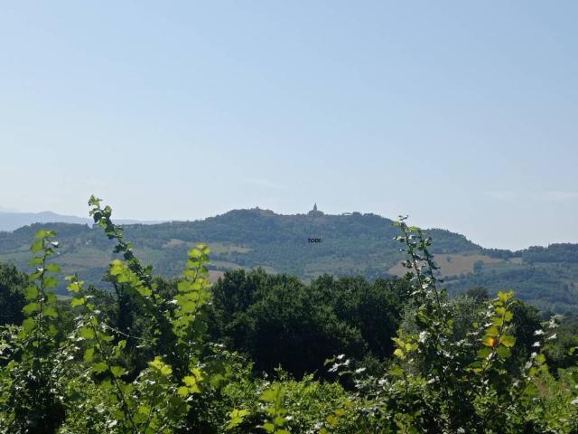 Terreno in vendita a Ponterio-Pian di Porto, Izzalini