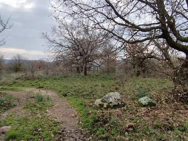 Terreno in vendita a Tolfa, Roma Capitale