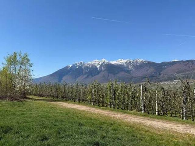 Terreno in vendita a Comunità della Val di Non, Ton