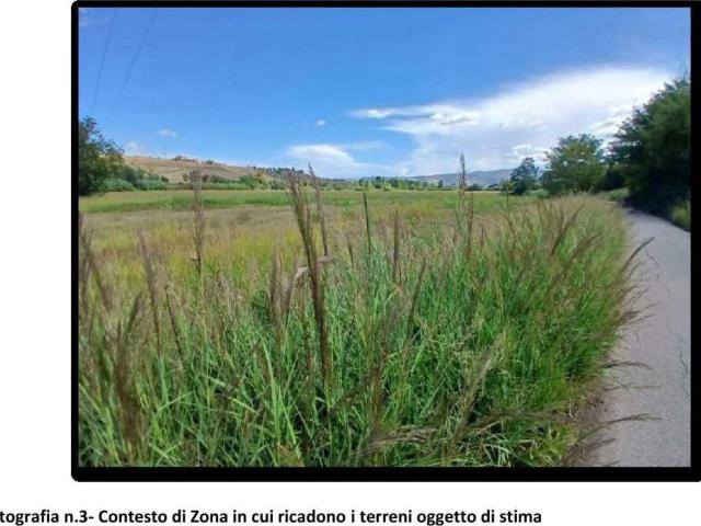 Terreno in vendita a Calabria, Cosenza